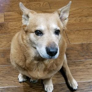 Meet your Posher, Lilly